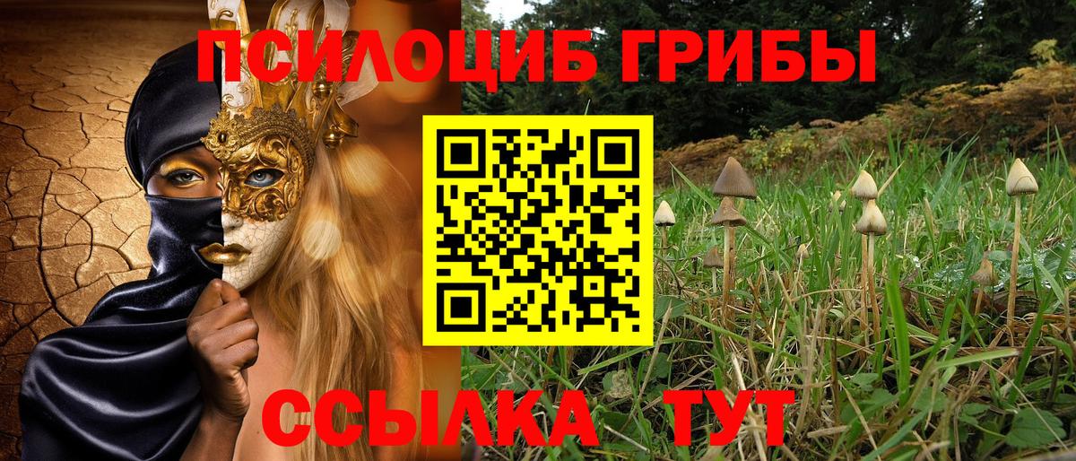 Псилоцибиновые грибы мицелий Елабуга