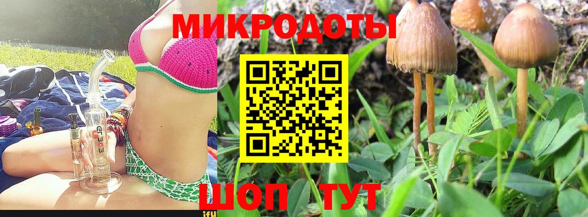 Елабуга  Псилоцибиновые грибы Psilocybe  Вход с VPN 